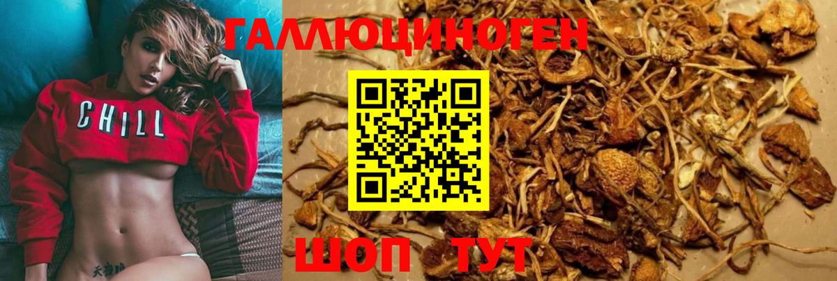 Галлюциногенные грибы прущие грибы Ефремов